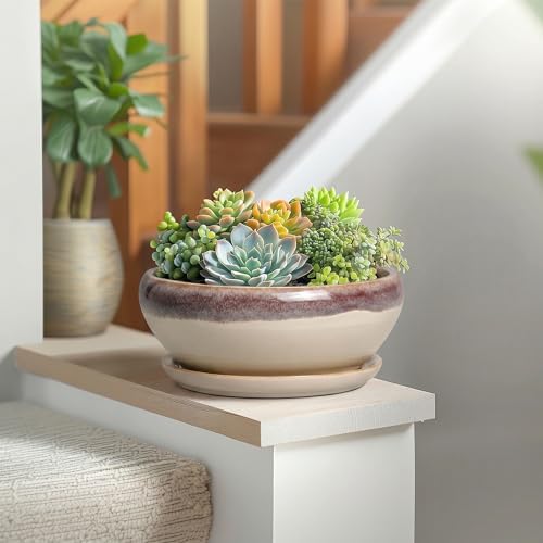 SQOWL Succulent Pots 8 Inch - Ceramic Bonsai Pots for Indoor Plants