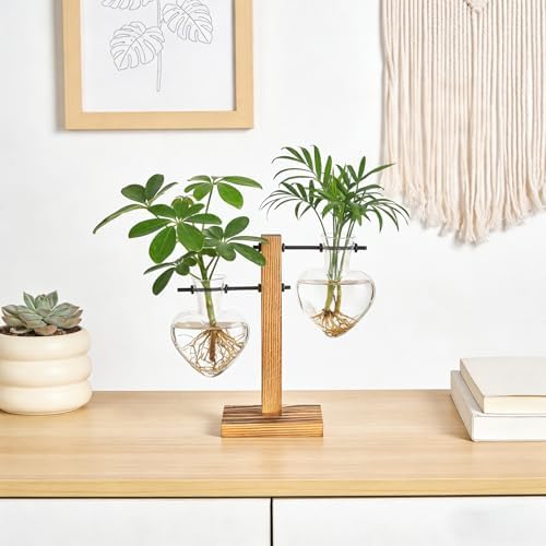 Mkono Propagation Stations,2 Heart Shaped Glass Plant Vases with Wood Stand