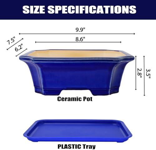 MUZHI Blue Bonsai Plant Pot 9.9” with Drip Saucer, Classic Glazed Ceramic Planter Container for Tree, Cactus, Succulent