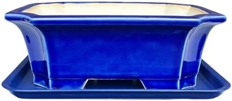 MUZHI Blue Bonsai Plant Pot 9.9” with Drip Saucer, Classic Glazed Ceramic Planter Container for Tree, Cactus, Succulent