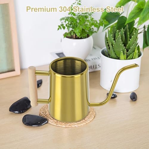 Watering Can Indoor Plants, 35 oz/1000 ml Metal Stainless Steel