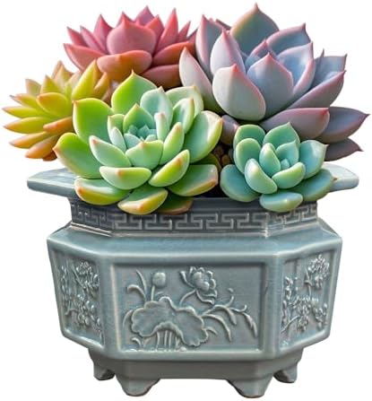 8-Inch Large Octagon Bonsai Pot Light Blue Water Glaze