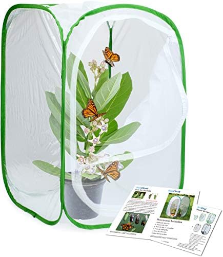 24" Insect and Monarch Butterfly Habitat Enclosure, Pack of 2