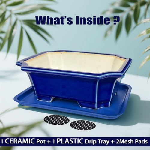 MUZHI Blue Bonsai Plant Pot 9.9” with Drip Saucer, Classic Glazed Ceramic Planter Container for Tree, Cactus, Succulent