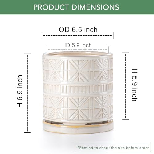Ceramic Plant Pots Indoor-Outdoor: 6 Inch Embossed Planters with