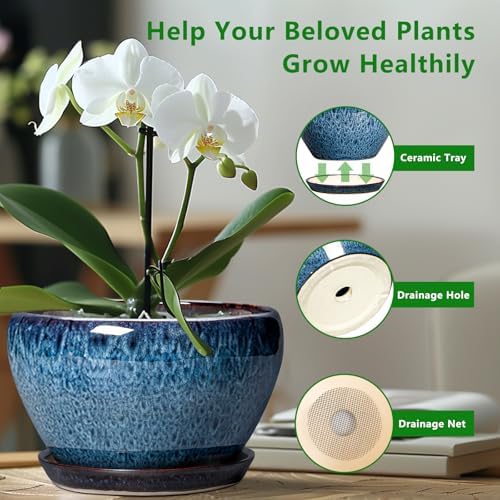 Ceramicfor Ceramic Pots for Plants - 9 Inch Plant Pot Indoor with