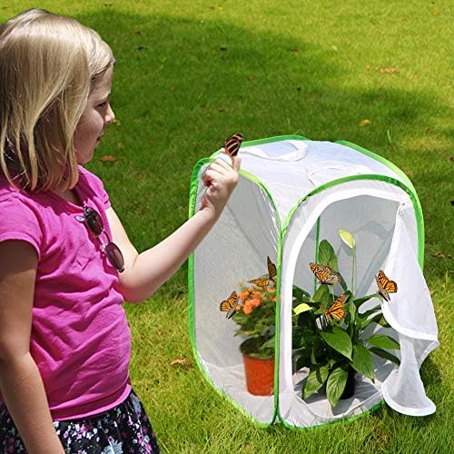 24" Insect and Monarch Butterfly Habitat Enclosure, Pack of 2