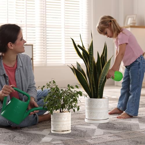 Ceramic Plant Pots Indoor-Outdoor: 6 Inch Embossed Planters with