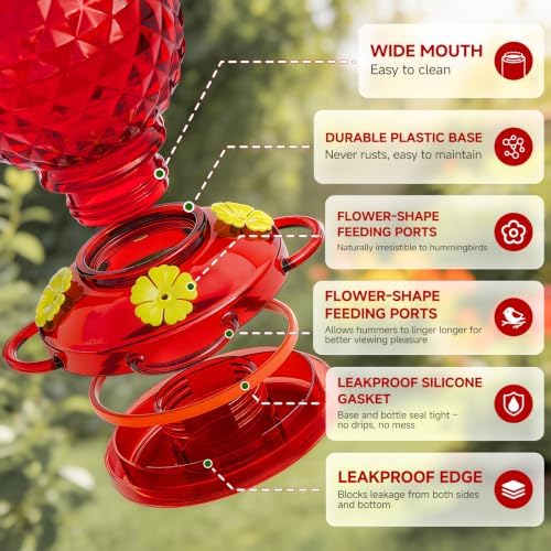 Hummingbird Feeder Glass 20 OZ 2-Pack Round Ant&Bee Proof Feeders