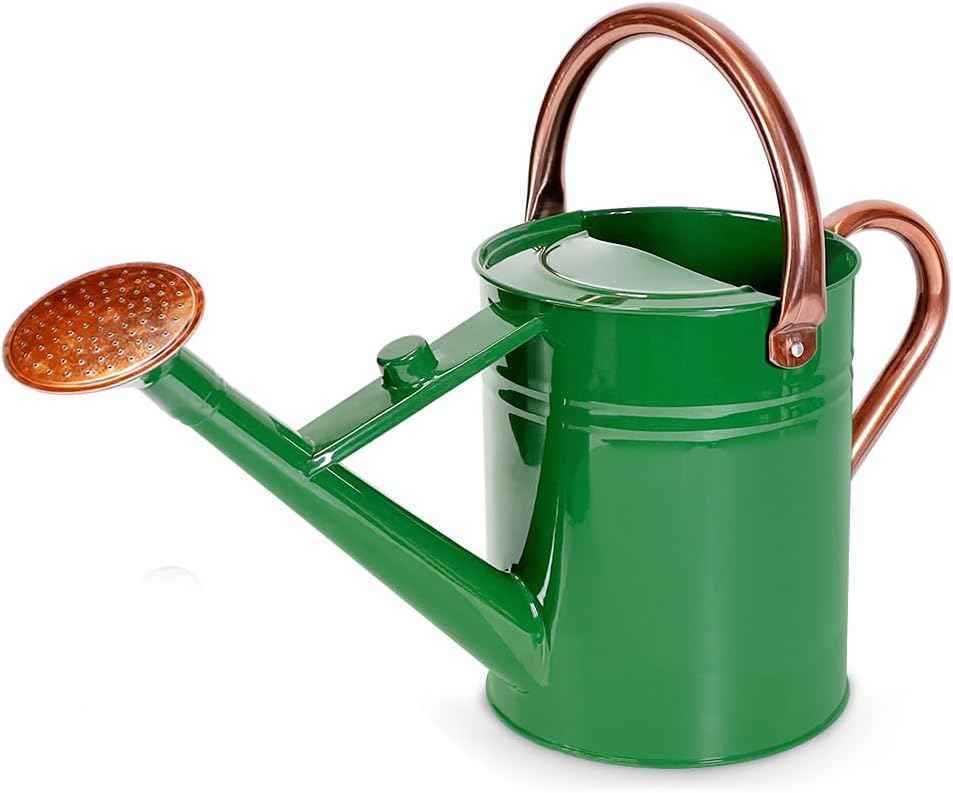 1 Gallon Metal Watering Can with Removable Spout, Nice Galvanized Steel Water Can for Indoor and Outdoor Plants (House Plants)