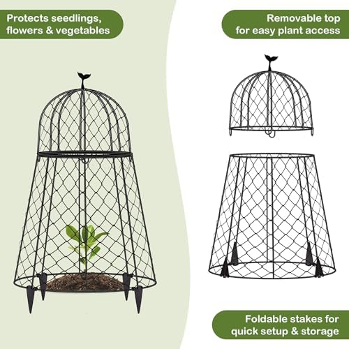 6 Packs Garden Cloches for Plants, Plant Protectors from Animals, Chicken Wire Cloche, Plant Cloche and Cage, Protection for Your Plants and Seedlings, 13" D x 20" H - Black