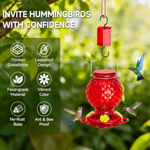 Hummingbird Feeder Glass 20 OZ 2-Pack Round Ant&Bee Proof Feeders