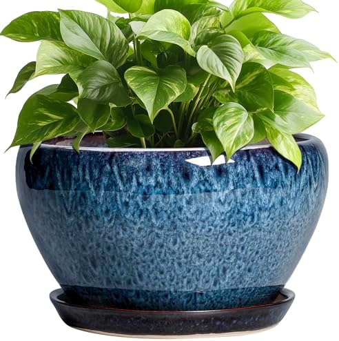 Ceramicfor Ceramic Pots for Plants - 9 Inch Plant Pot Indoor with