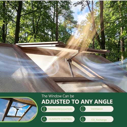 6x12 FT Greenhouse for Outdoors Cedar Wood Green House with 6MM Polycarbonate Panel & Adjustable Vents Walk in Greenhouses Kit for Outdoor,Backyard,Garden