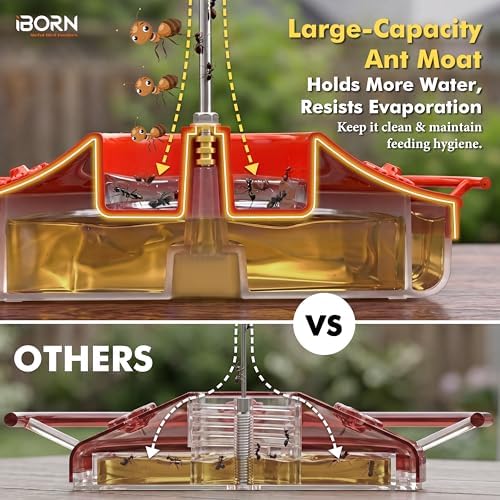 iBorn Hummingbird Feeders for Outdoors Hanging,Bee Proof Hummingbird Feeder with 14 Feeding Ports,13 OZ Saucer Humming Bird Feeders with Ant Moat,Ant Proof No Leak,Easy to Clean and Refill,Red,1 Pack