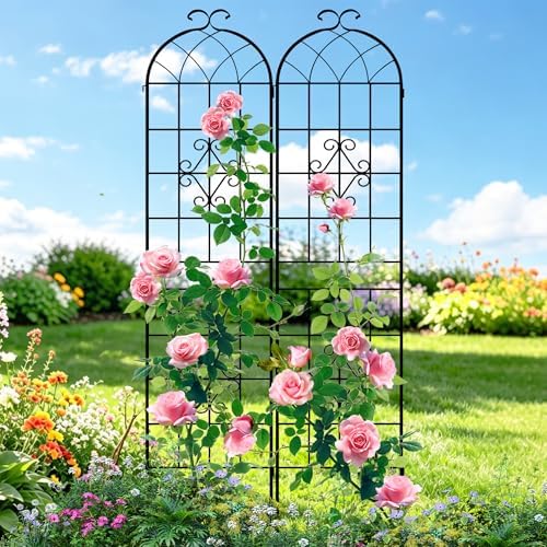 LZRS 78.4 x 40in Rustic Iron Arch Decoration Garden Trellis with Black