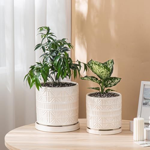 Ceramic Plant Pots Indoor-Outdoor: 6 Inch Embossed Planters with