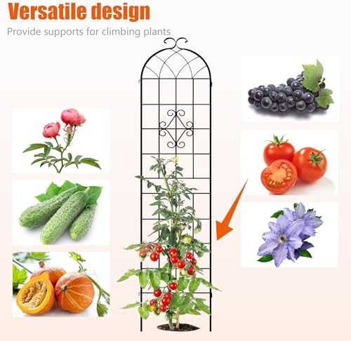 LZRS 78.4 x 40in Rustic Iron Arch Decoration Garden Trellis with Black