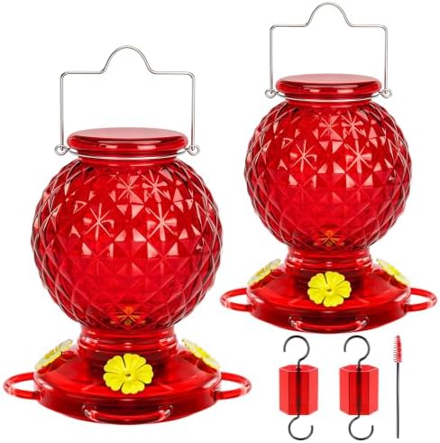 Hummingbird Feeder Glass 20 OZ 2-Pack Round Ant&Bee Proof Feeders