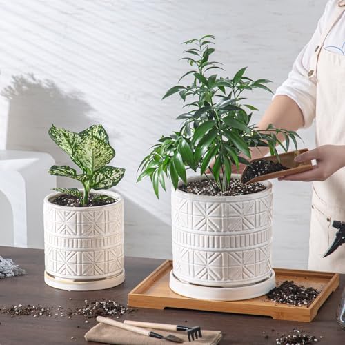 Ceramic Plant Pots Indoor-Outdoor: 6 Inch Embossed Planters with