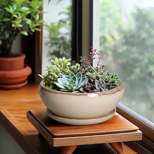 SQOWL Succulent Pots 8 Inch - Ceramic Bonsai Pots for Indoor Plants