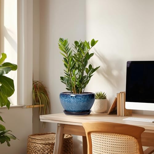Ceramicfor Ceramic Pots for Plants - 9 Inch Plant Pot Indoor with