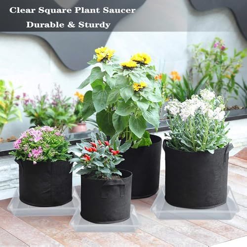 LWALRS Square Plant Saucer 8 Inch 5 Pack, Thick Clear Plastic Flower
