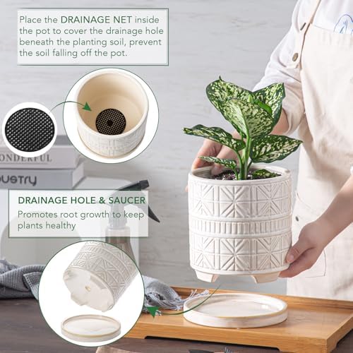 Ceramic Plant Pots Indoor-Outdoor: 6 Inch Embossed Planters with