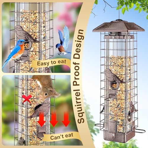 Squirrel Proof Bird Feeder for Outdoors Hanging, Metal 3LB Feeder