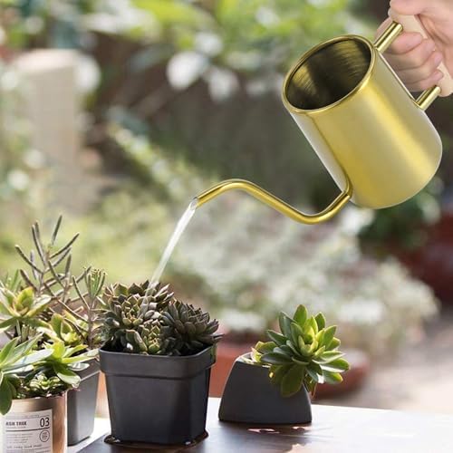 Watering Can Indoor Plants, 35 oz/1000 ml Metal Stainless Steel