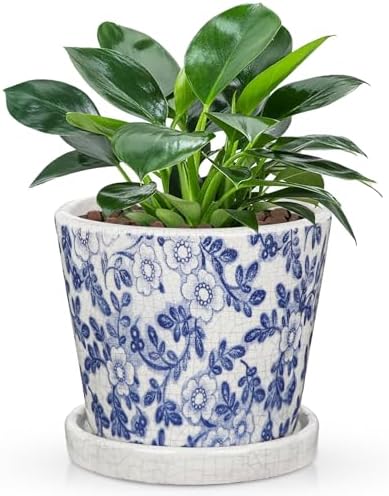 Ceramic Pot for Plants 5.5 inch Blue and White Pot for Plants Small