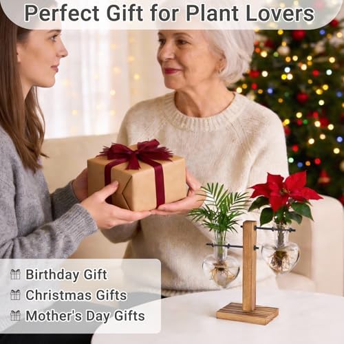 Mkono Propagation Stations,2 Heart Shaped Glass Plant Vases with Wood Stand