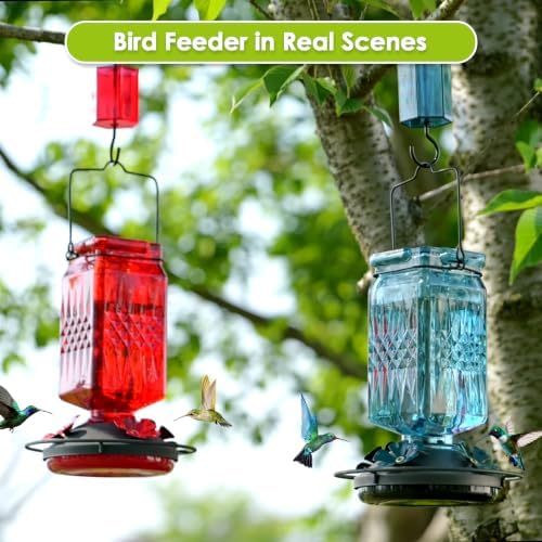 20oz Glass Hummingbird Feeder for Outdoors Hanging, Bird Nectar Feeder with 4 Bee Guard Flower-Shaped Feeding Ports & Built-in Ant Moat, for Bird Lover, Red (2 Pack)