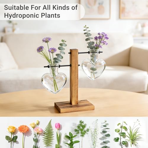 Mkono Propagation Stations,2 Heart Shaped Glass Plant Vases with Wood Stand