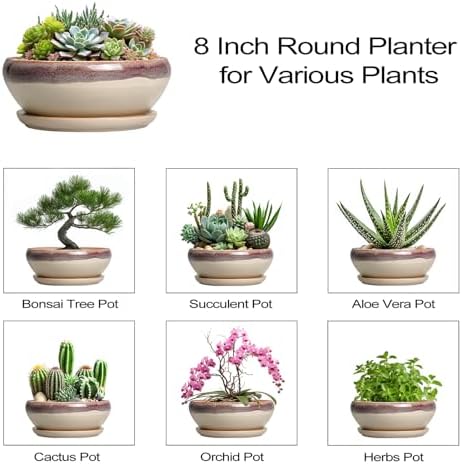 SQOWL Succulent Pots 8 Inch - Ceramic Bonsai Pots for Indoor Plants