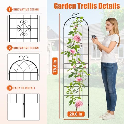 LZRS 78.4 x 40in Rustic Iron Arch Decoration Garden Trellis with Black