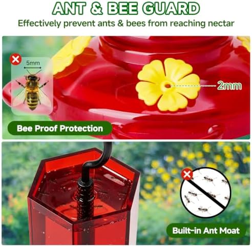 Hummingbird Feeder Glass 20 OZ 2-Pack Round Ant&Bee Proof Feeders
