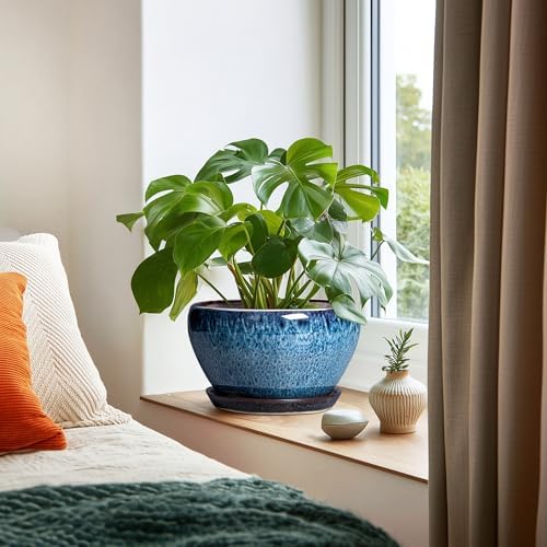 Ceramicfor Ceramic Pots for Plants - 9 Inch Plant Pot Indoor with