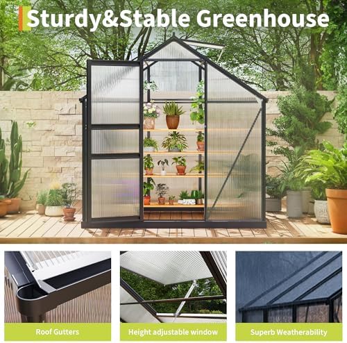 6×6FT Polycarbonate Greenhouse for Outdoors, Large Walk in Green House