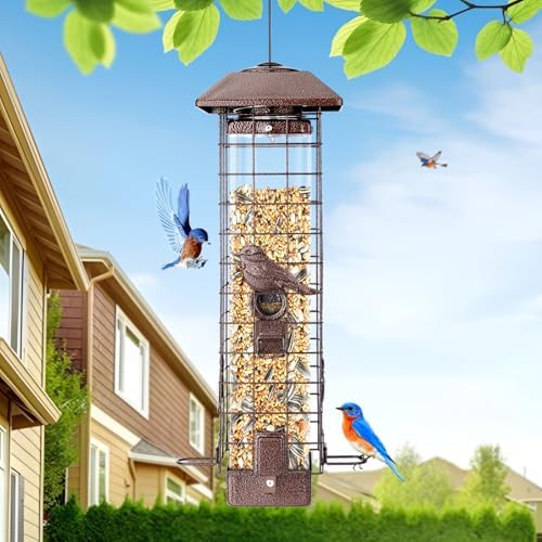 Squirrel Proof Bird Feeder for Outdoors Hanging, Metal 3LB Feeder
