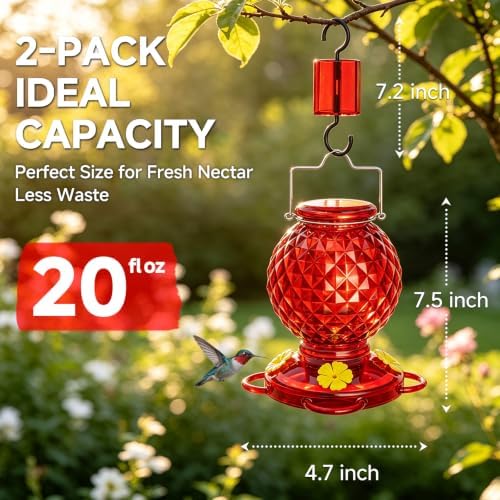 Hummingbird Feeder Glass 20 OZ 2-Pack Round Ant&Bee Proof Feeders