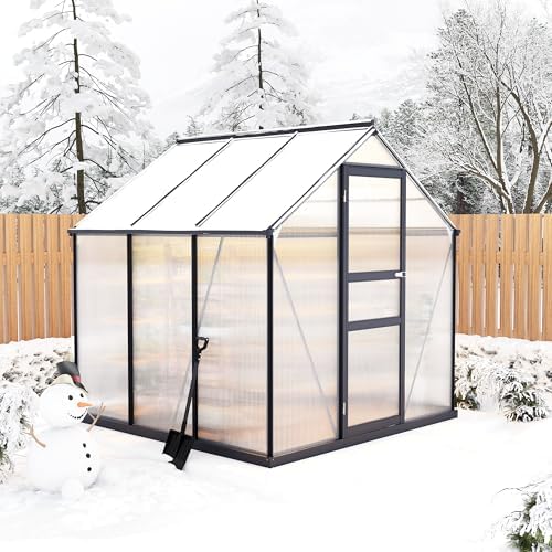 6×6FT Polycarbonate Greenhouse for Outdoors, Large Walk in Green House