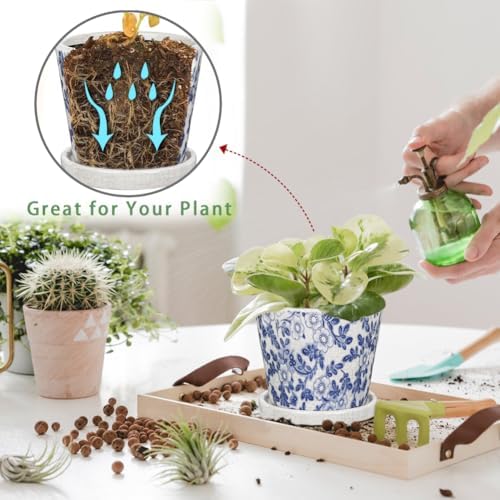 Ceramic Pot for Plants 5.5 inch Blue and White Pot for Plants Small