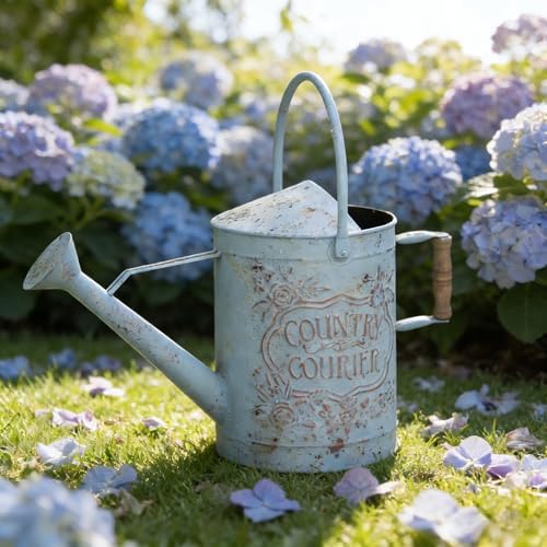 Vintage Metal Watering Can with Country Corner Floral Emboss & Wooden