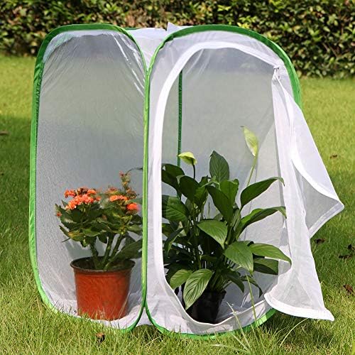 24" Insect and Monarch Butterfly Habitat Enclosure, Pack of 2