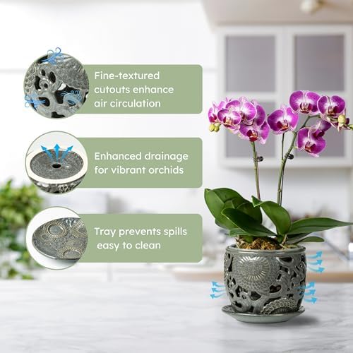 HERDUK Ceramic Orchid Pot with Drainage Holes & Saucer, 6.5 Inch, Indoor Orchid Containers with Precise Aeration & Drainage, Dark Gray