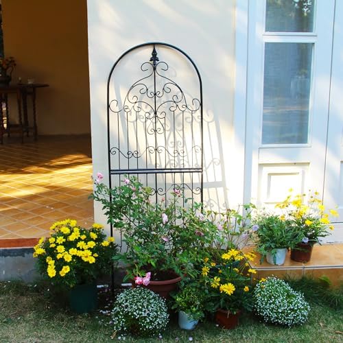 Garden Trellis for Climbing Plants 59" H x 21.6" W Metal Unique Design