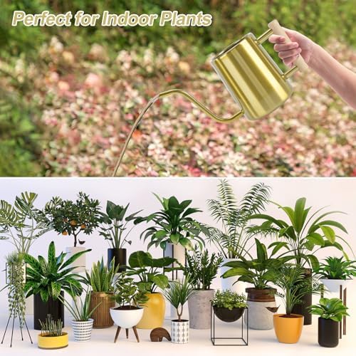 Watering Can Indoor Plants, 35 oz/1000 ml Metal Stainless Steel