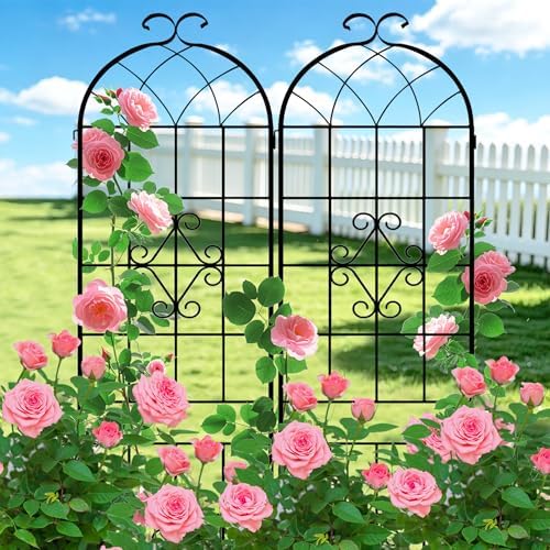 LZRS 78.4 x 40in Rustic Iron Arch Decoration Garden Trellis with Black