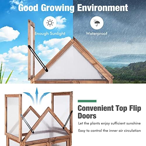 GRAFFY Wooden Cold Frame Greenhouse with 3 Removable Shelves for Outdoor
